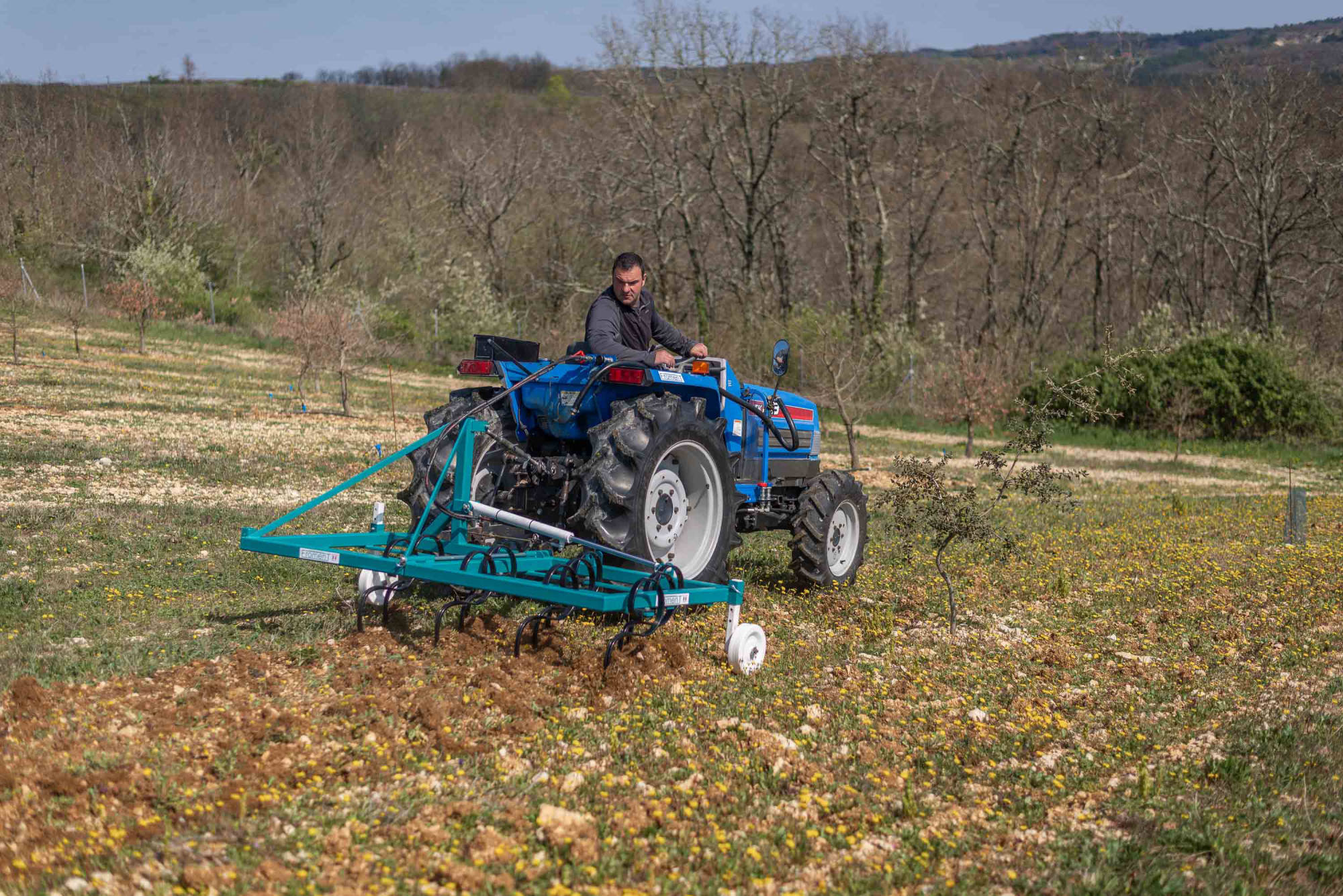 Cultivador vibratorio desplazado