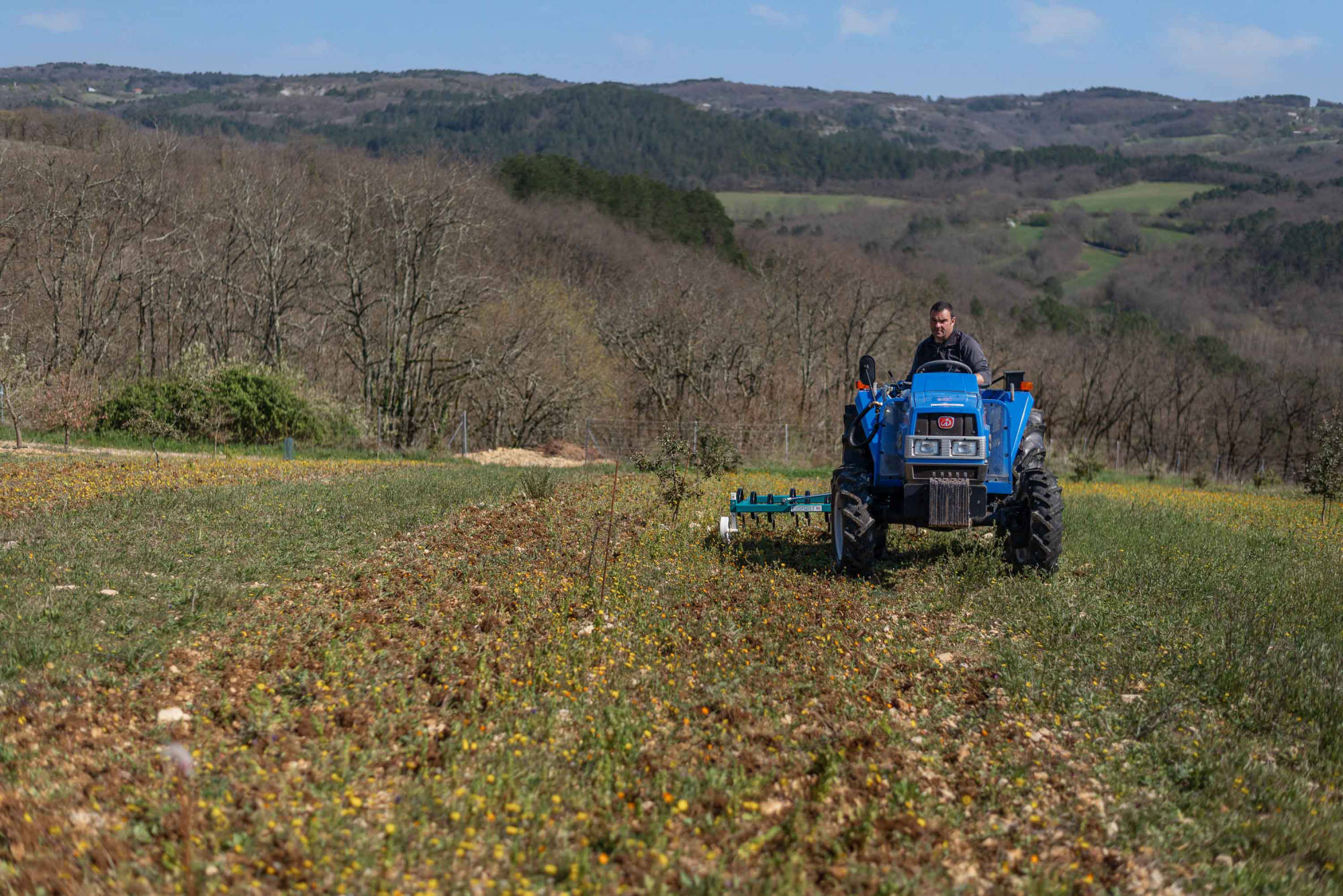 Cultivador vibratorio desplazado